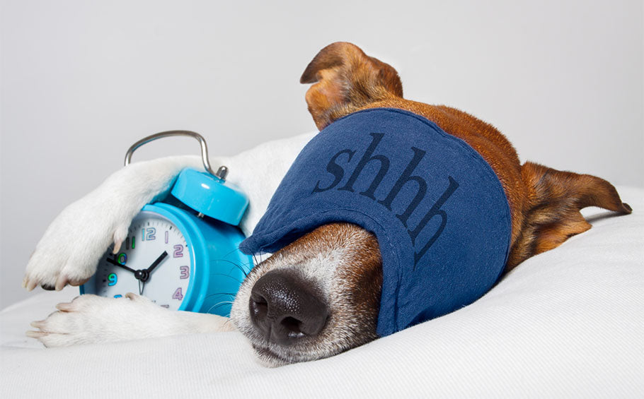 Why sleep is so important