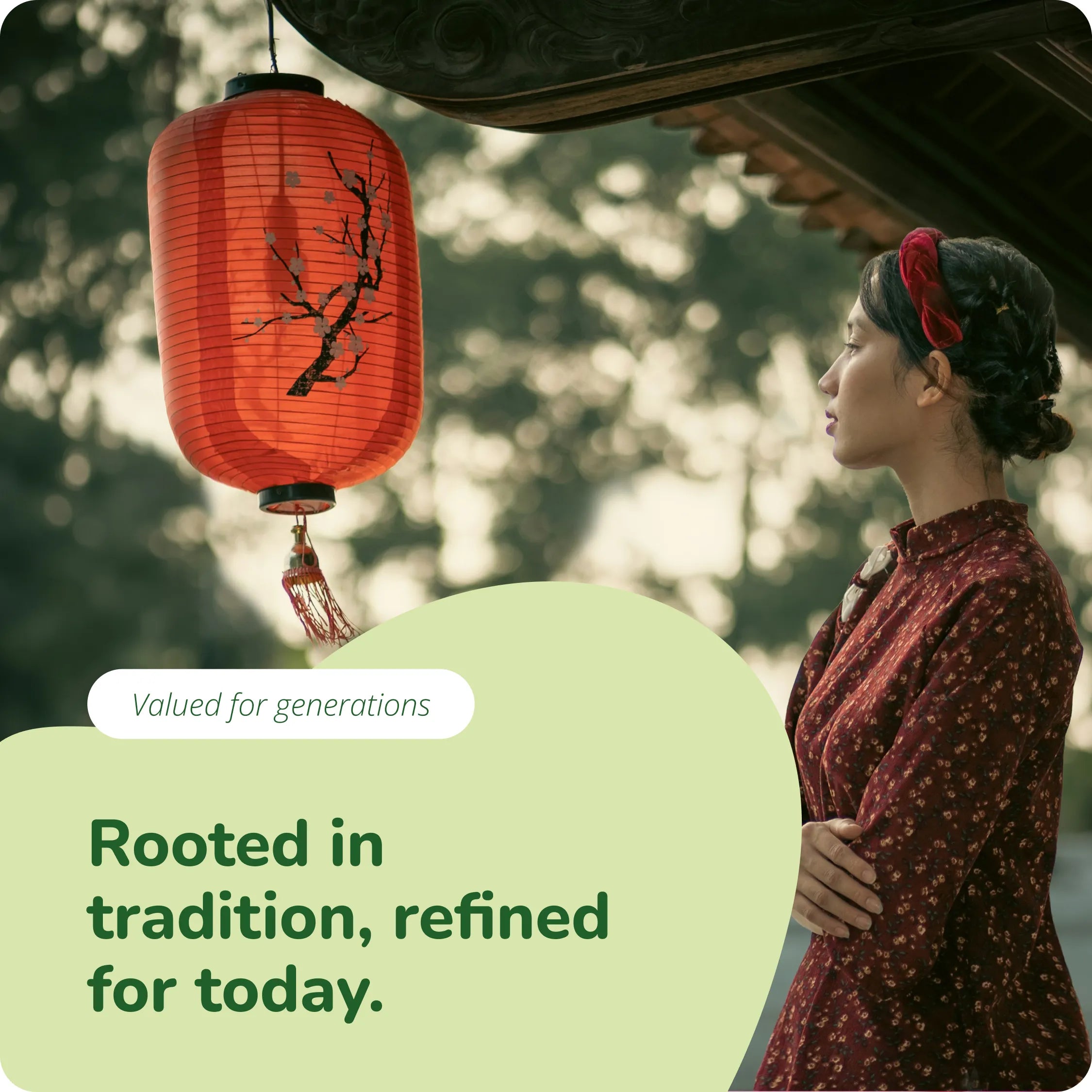 Reishi Estratto Capsule