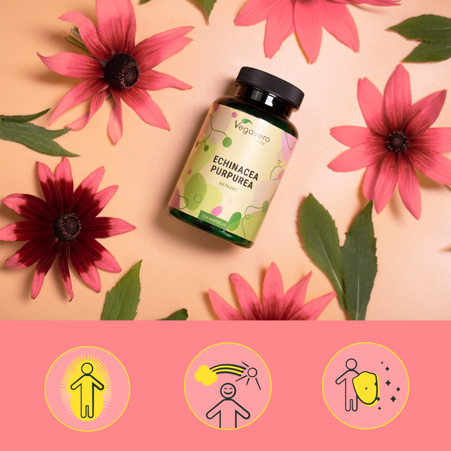 Echinacea Purpurea Estratto Capsule
