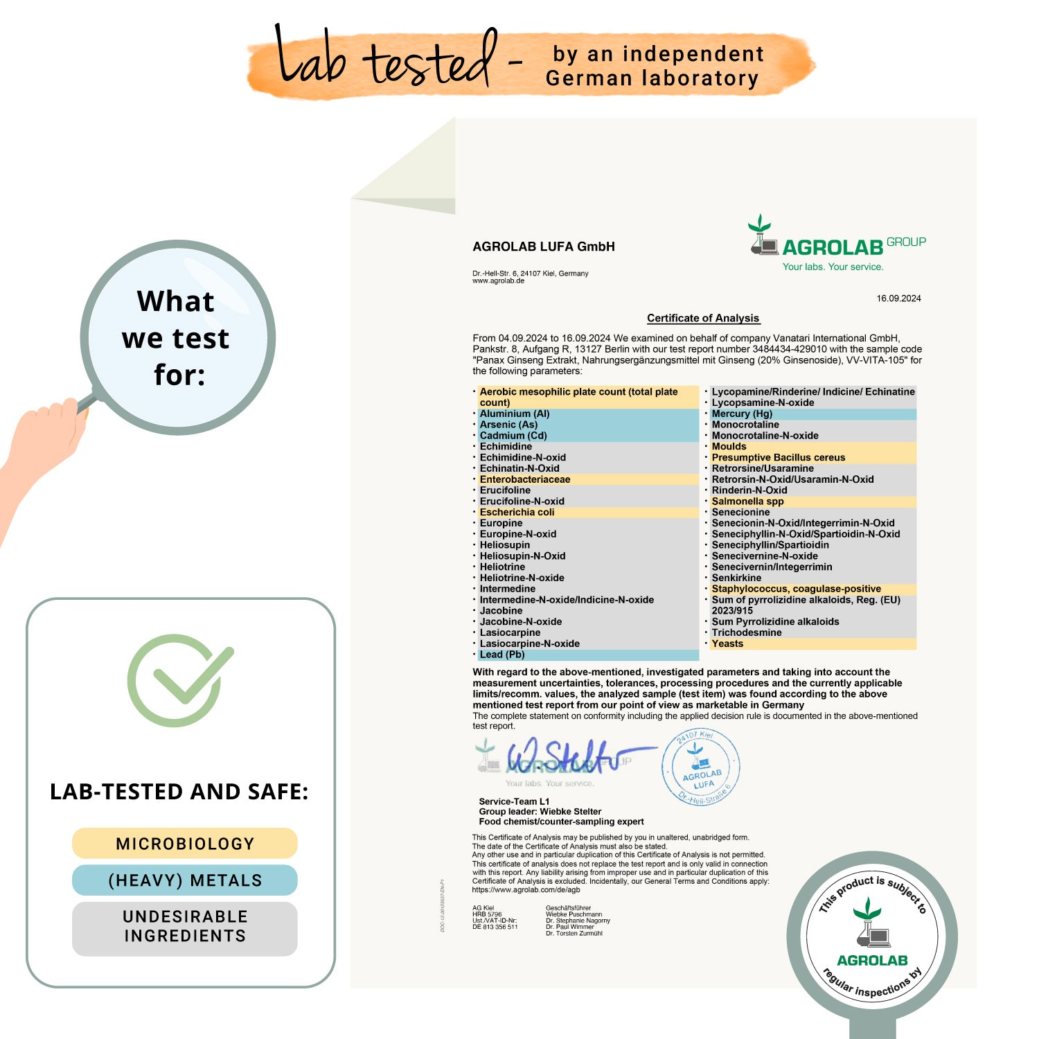 Panax Ginseng Estratto Capsule