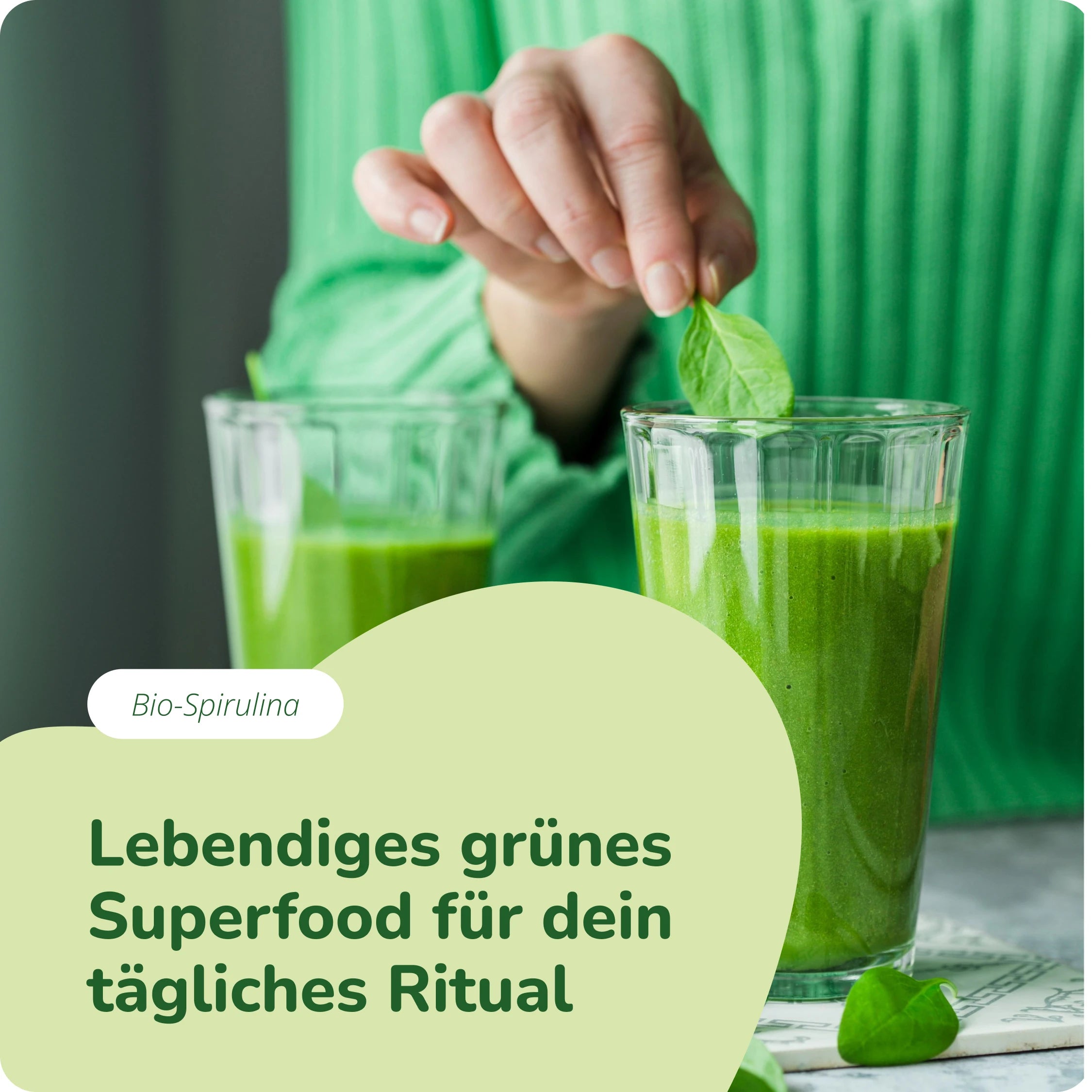 Spirulina Compresse Bio