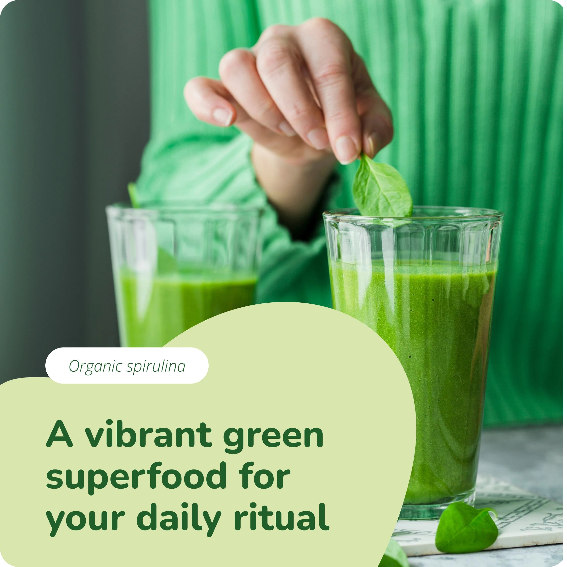 Spirulina Compresse Bio