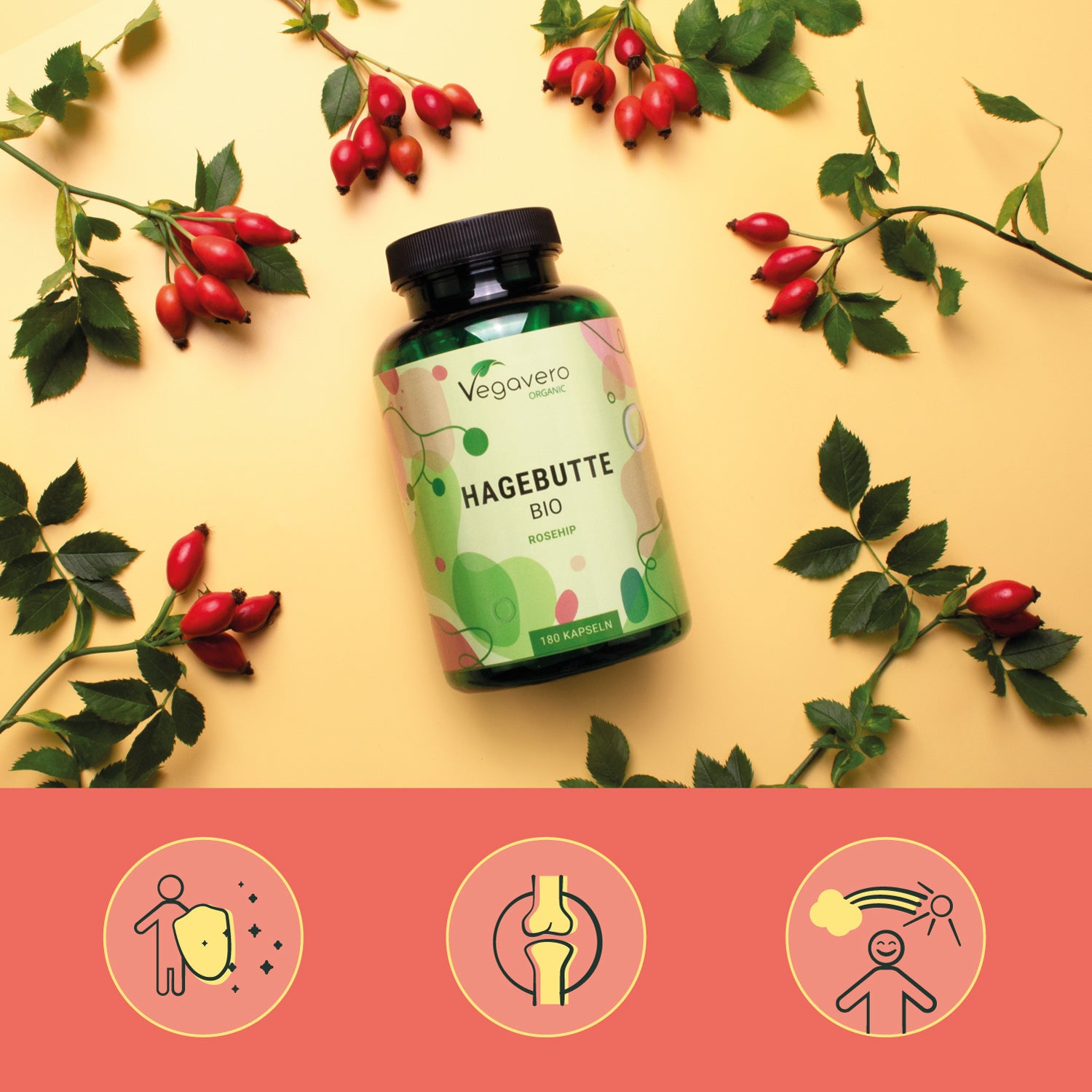 Rosa Canina Capsule Bio