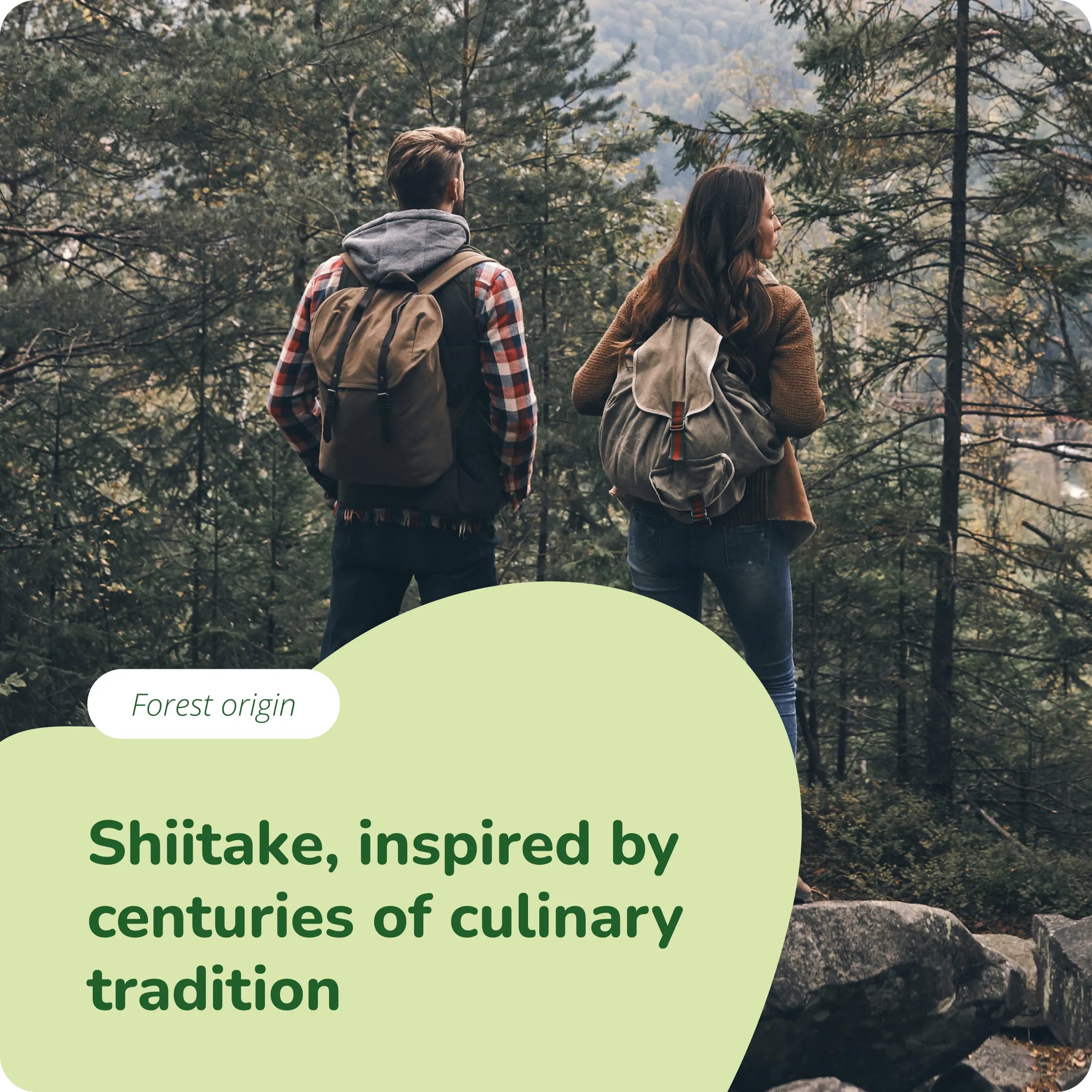 Shiitake Estratto Capsule