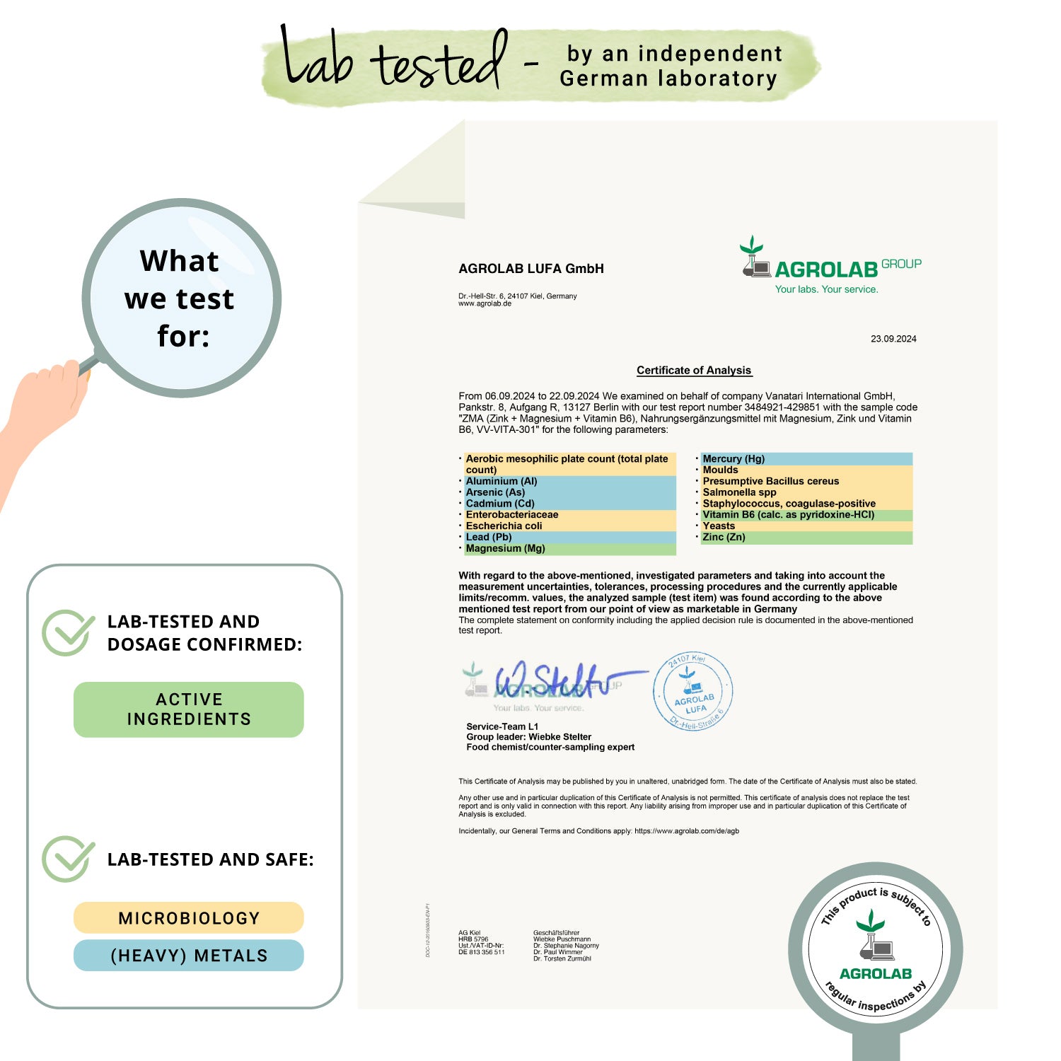 ZMA Capsule : Zinco + Magnesio + Vitamina B6