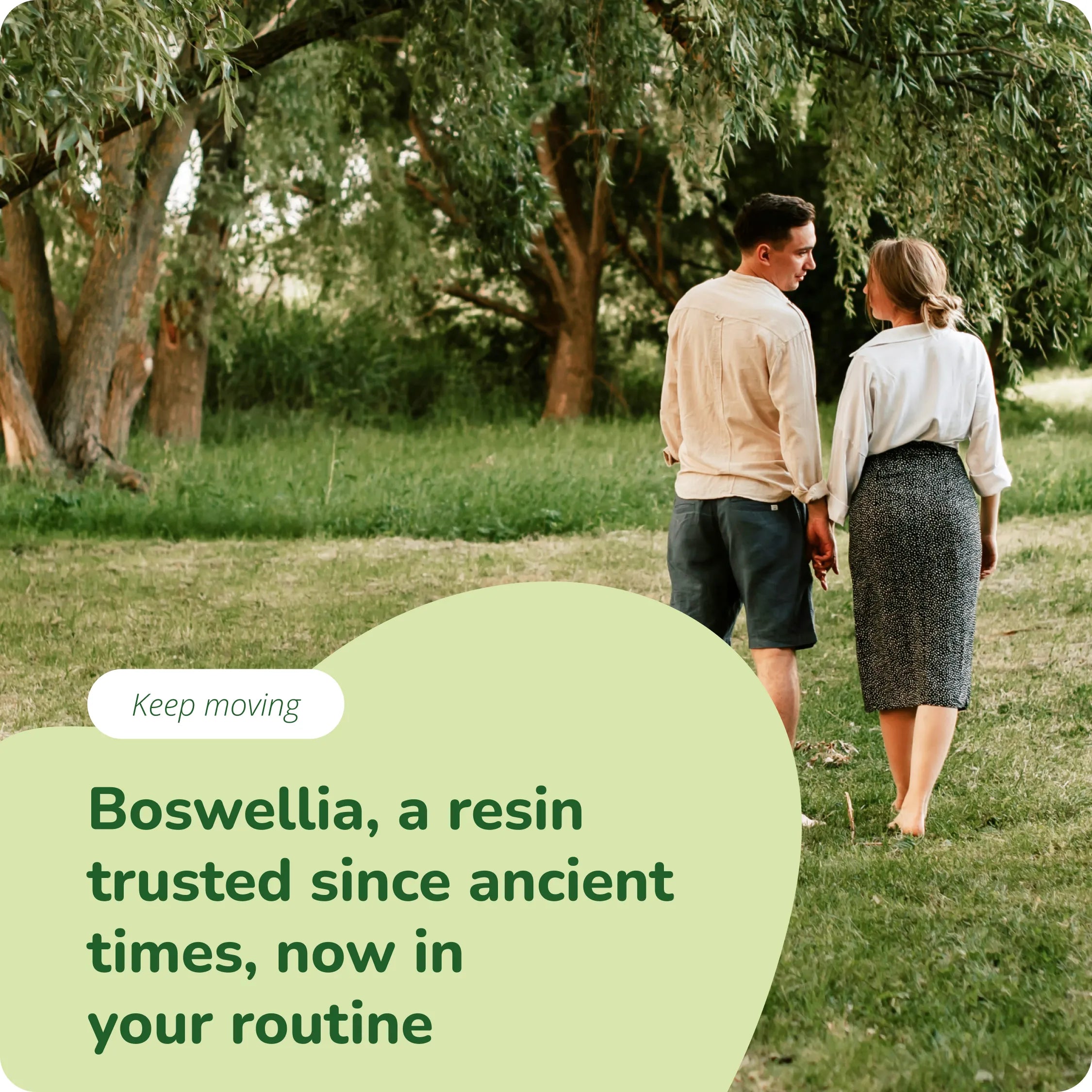 Boswellia Estratto Capsule