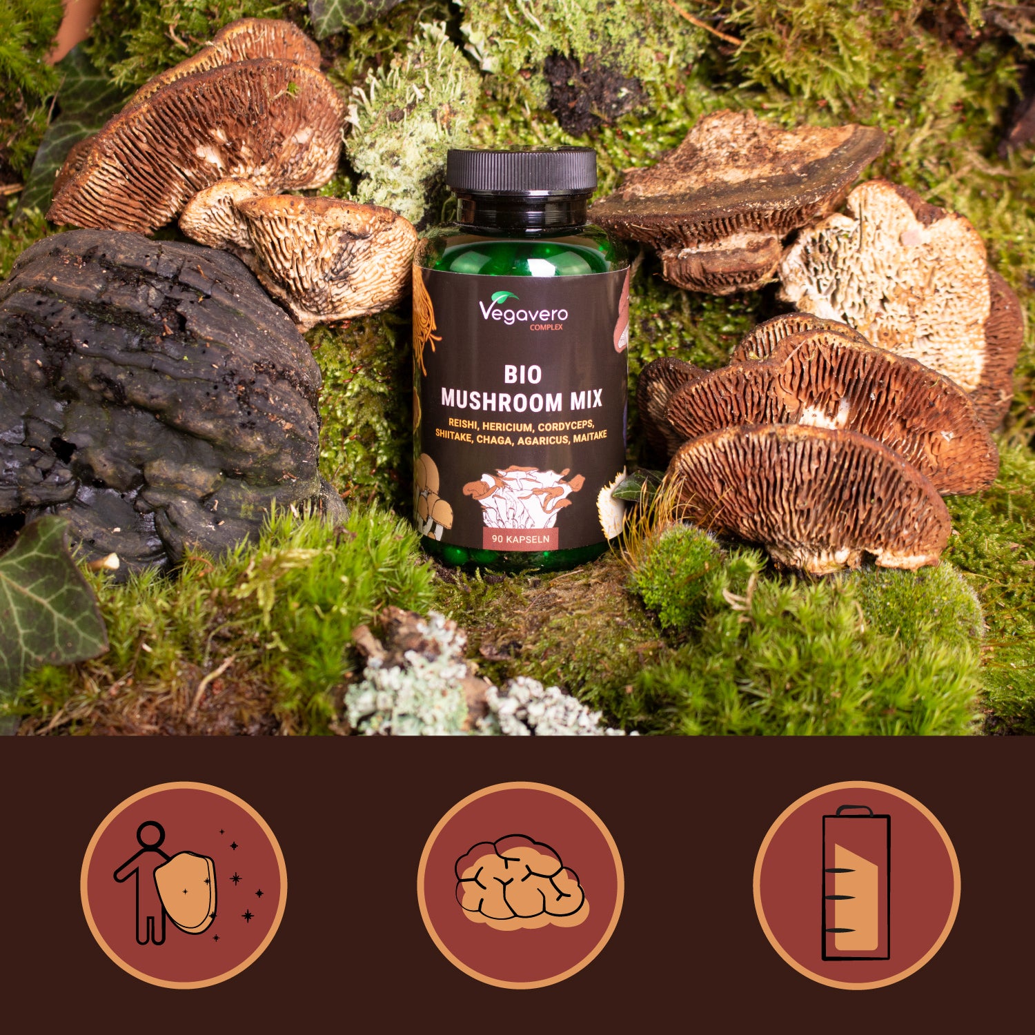 Mushroom Complex Capsule Bio