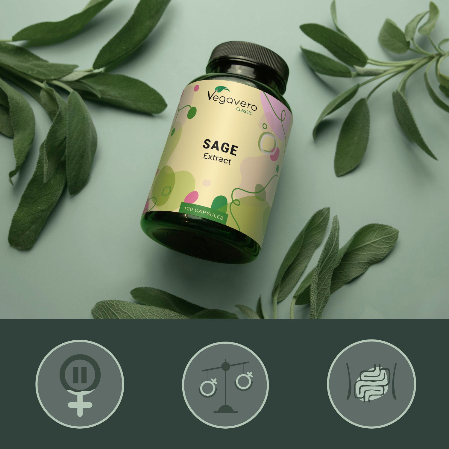 Salvia Estratto Capsule