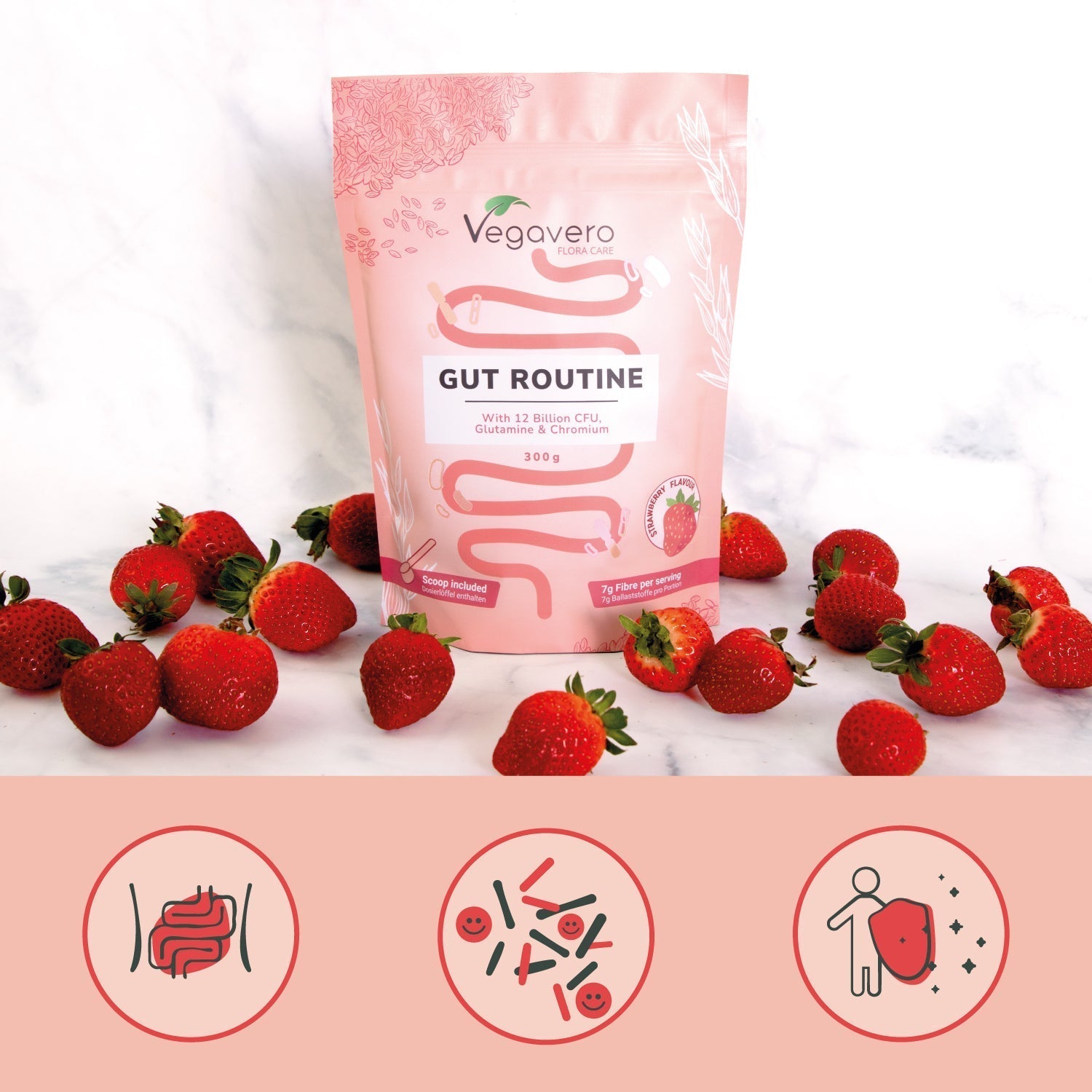 Gut Routine in Polvere