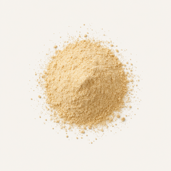 Polvere di aceto di mele