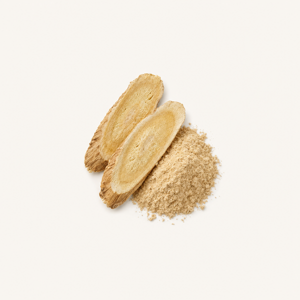 Estratto di Radice di Astragalo (20 % Polisaccaridi) BIO