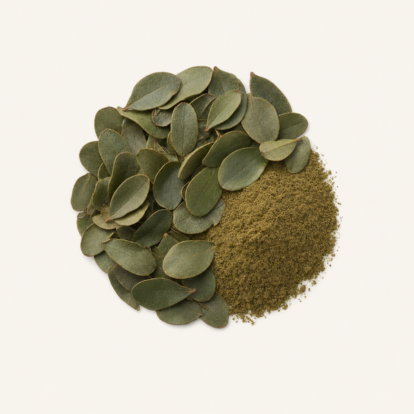 Bearberry Leaf Extract (20% Arbutin)