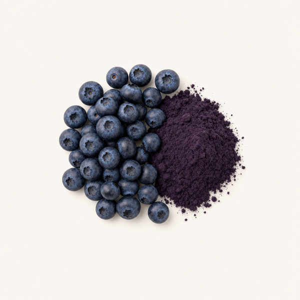 Estratto di frutti di mirtillo 25%