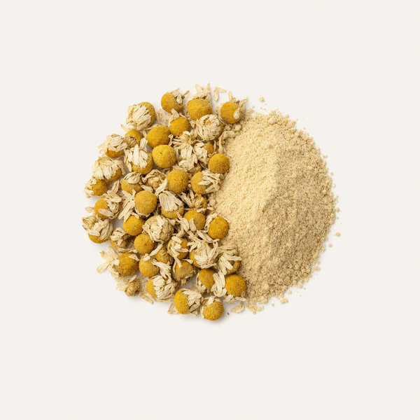 Estratto di Fiore di Camomilla 3% Flavoni