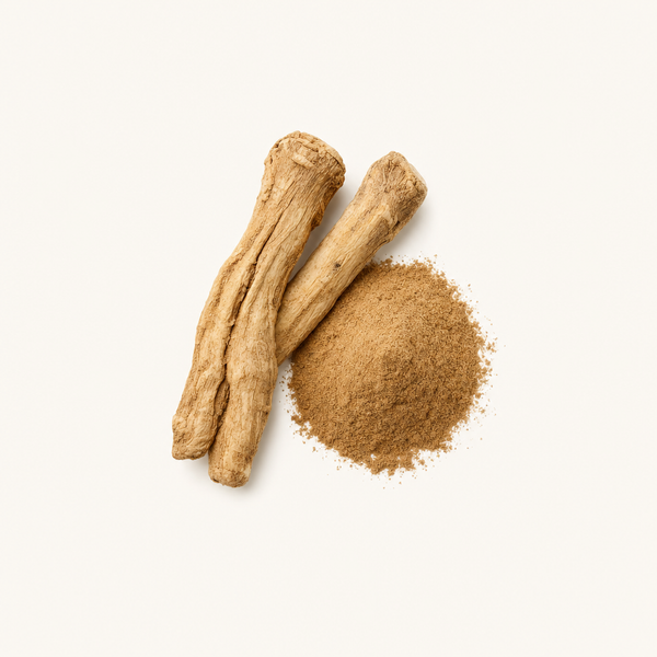 Estratto di radice di cicoria (Cichorium intybus var. sativum) 2% flavoni