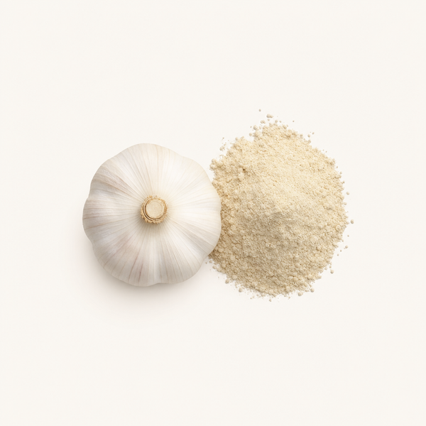 Estratto di bulbo d’aglio (1% di allicina)