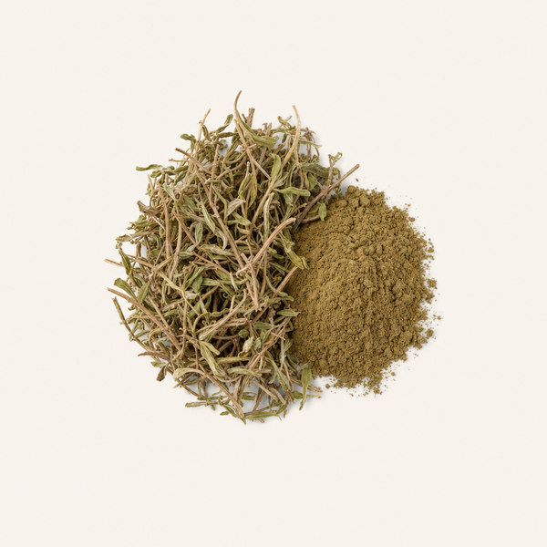 Estratto delle parti aeree di Epilobium parviflorum (2 % flavoni UV)