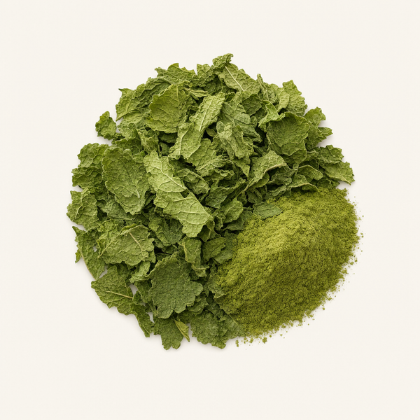 Estratto di foglie di melissa (Melissa officinalis)