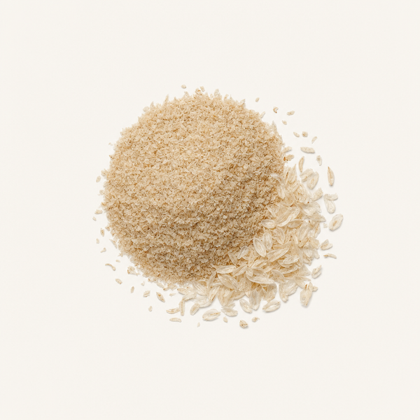 Polvere biologica di cuticola di psillio