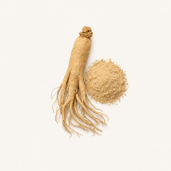 Estratto di Panax Ginseng 20% Ginsenosidi