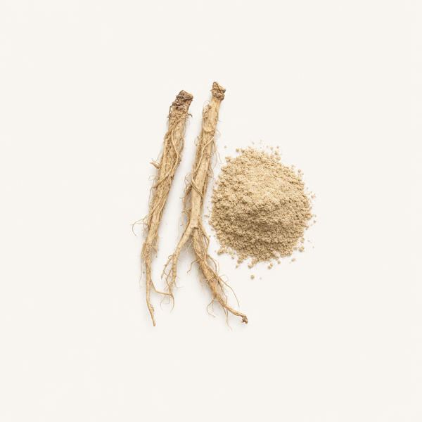 Estratto di radice di ortica (Urtica dioica) 1 % beta‑sitosterolo (HPLC)