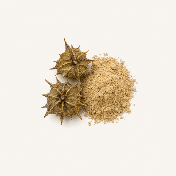 Estratto di frutto di Tribulus 90%