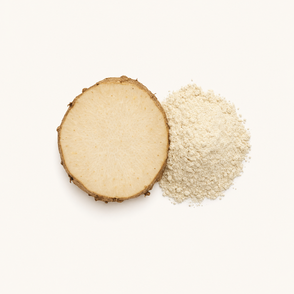 Estratto di rizoma di igname selvatico (Dioscorea villosa) 20% Diosgenina (HPLC)