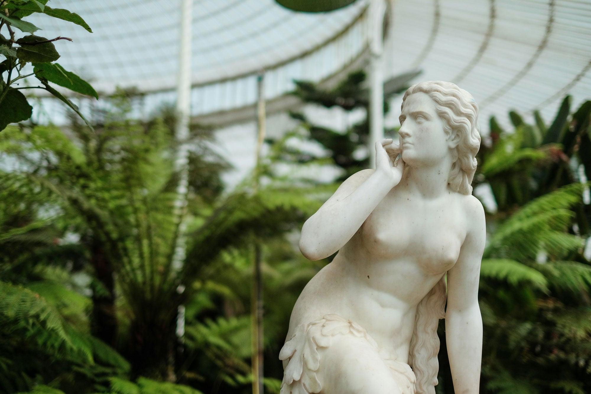Beautiful like Venus – Nutrients that Nurture Us from Within