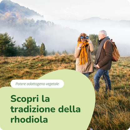 Rhodiola Rosea Estratto Capsule