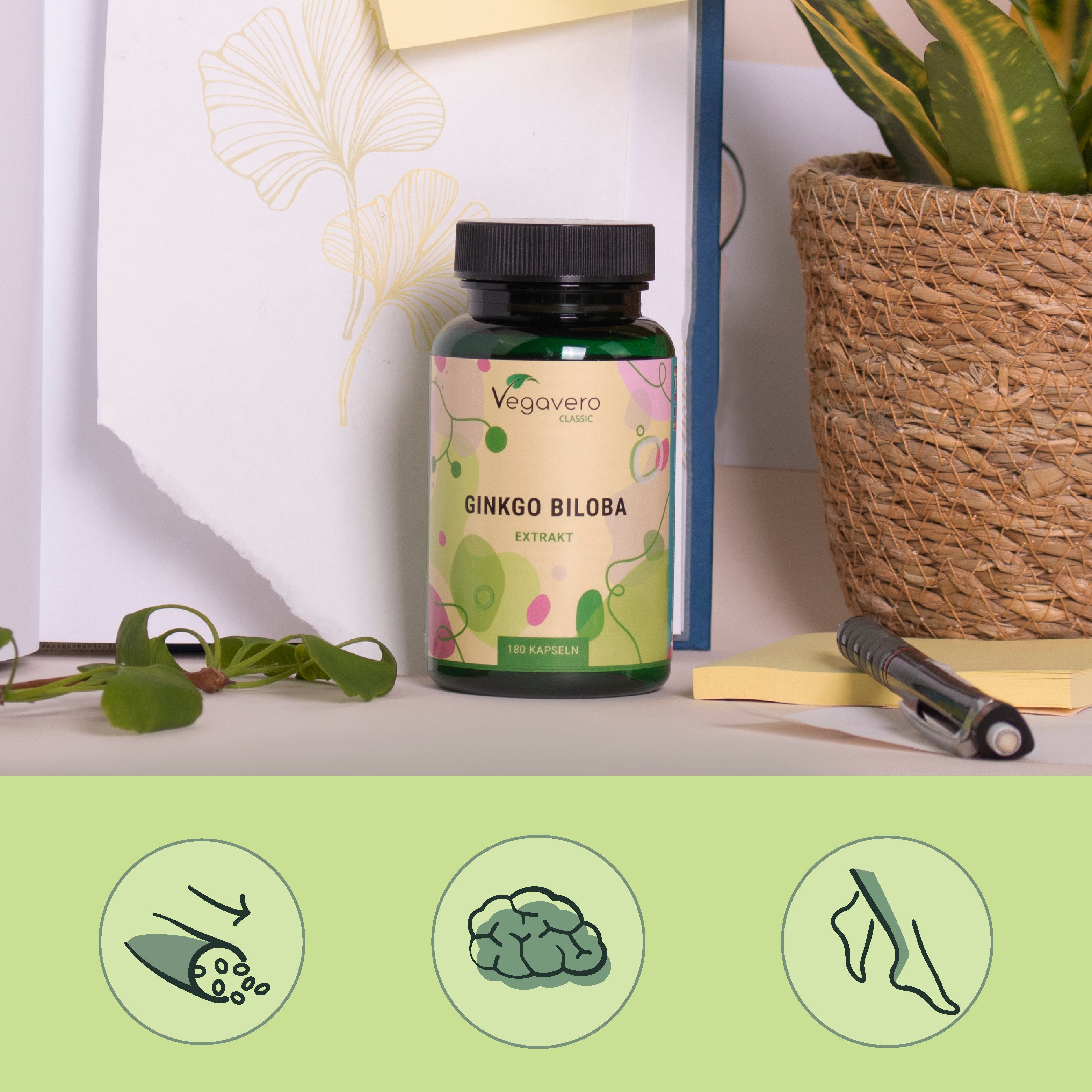 Ginkgo Biloba Estratto Capsule