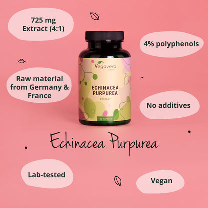 Echinacea Purpurea Estratto Capsule