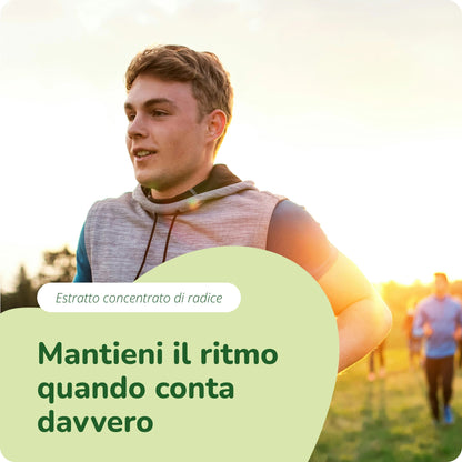 Panax Ginseng Estratto Capsule