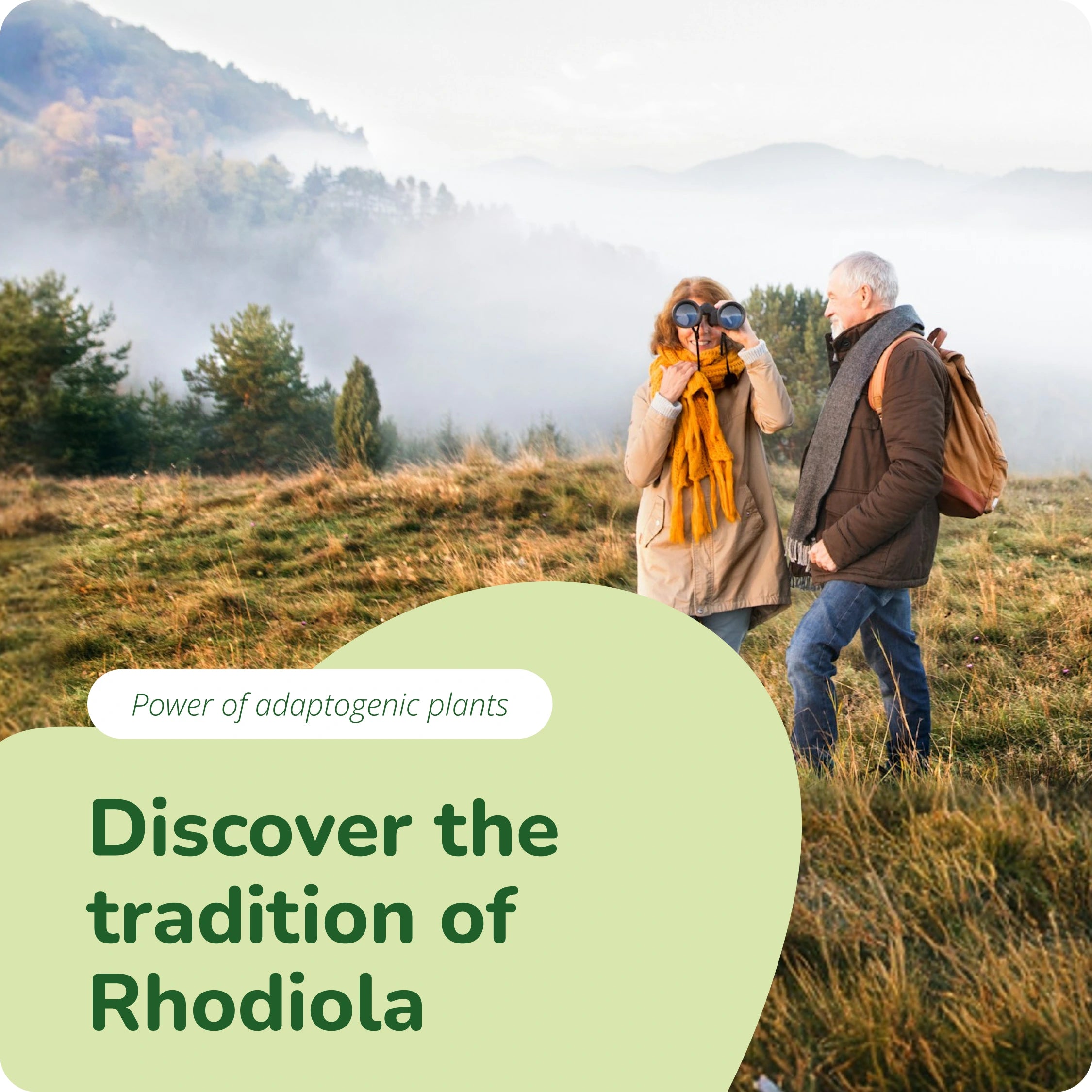Rhodiola Rosea Estratto Capsule