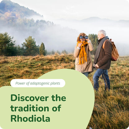 Rhodiola Rosea Estratto Capsule