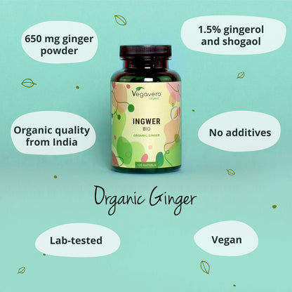 Zenzero Capsule Bio
