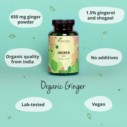 Zenzero Capsule Bio