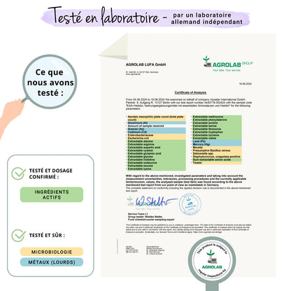 EAA Compresse