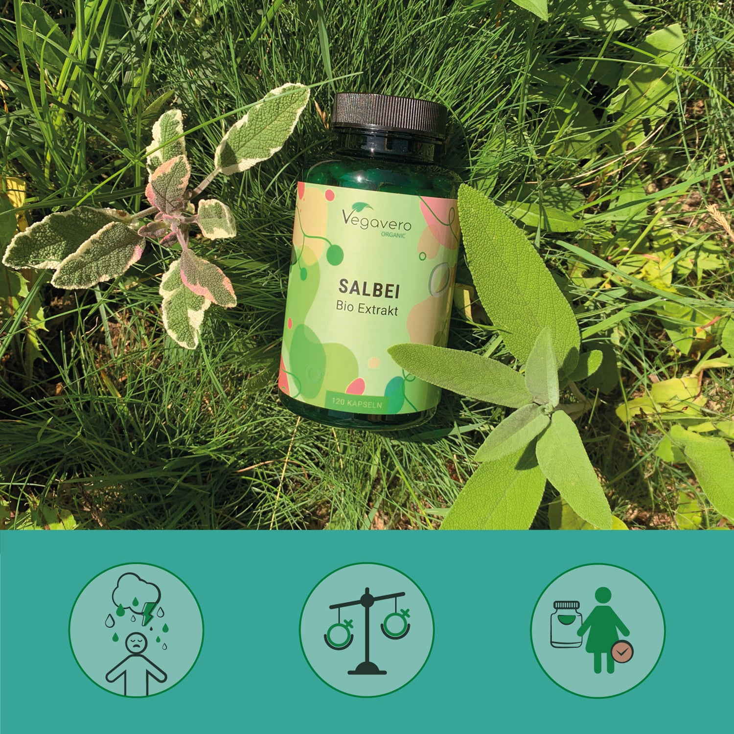 Salvia Estratto Capsule Bio