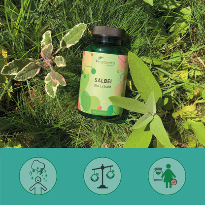 Salvia Estratto Capsule Bio