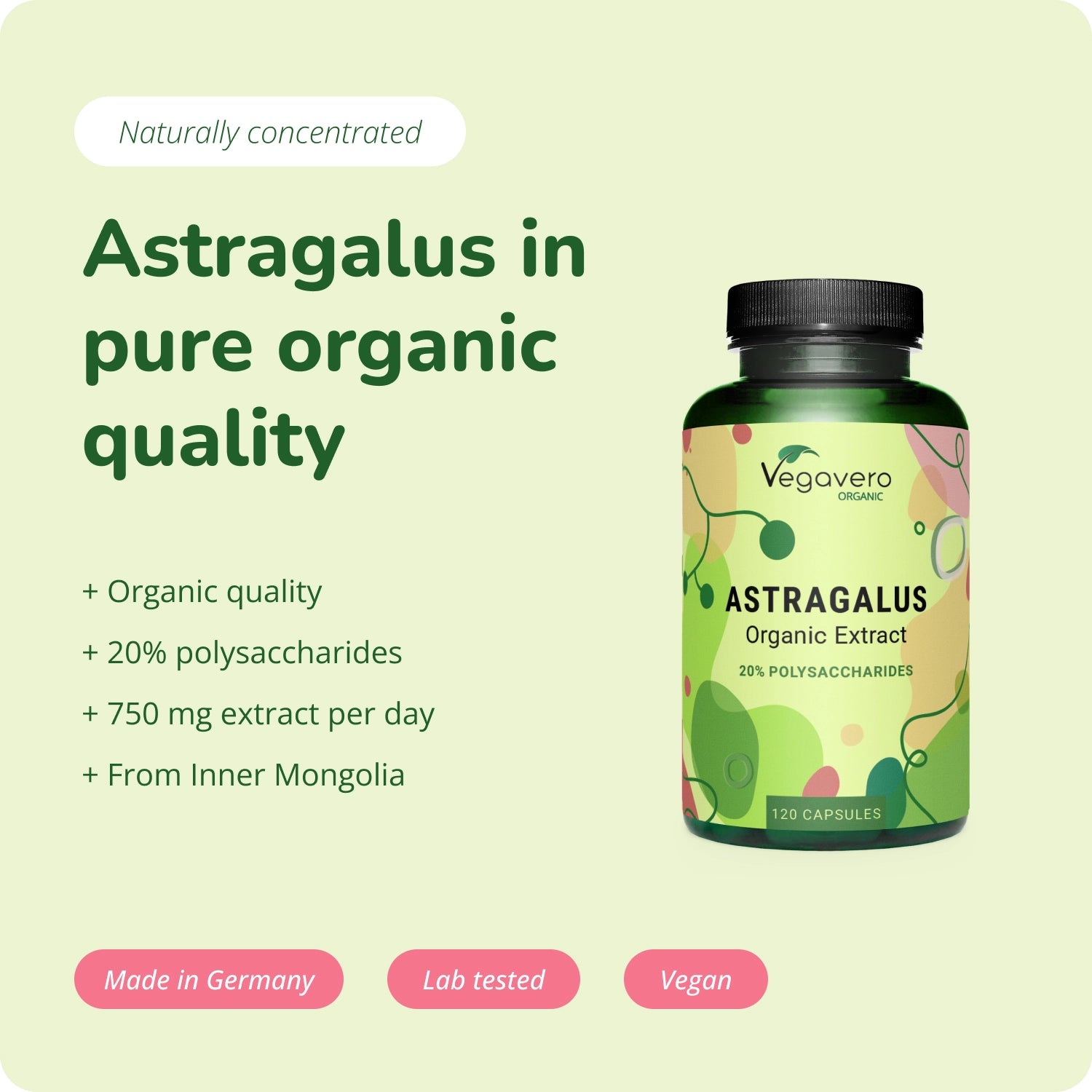 Astragalus Estratto Capsule Bio