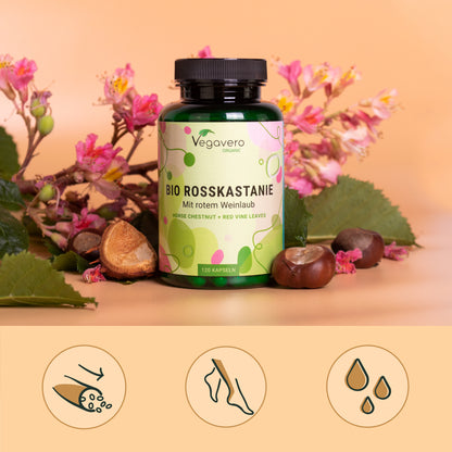Castagna d’India Capsule Bio