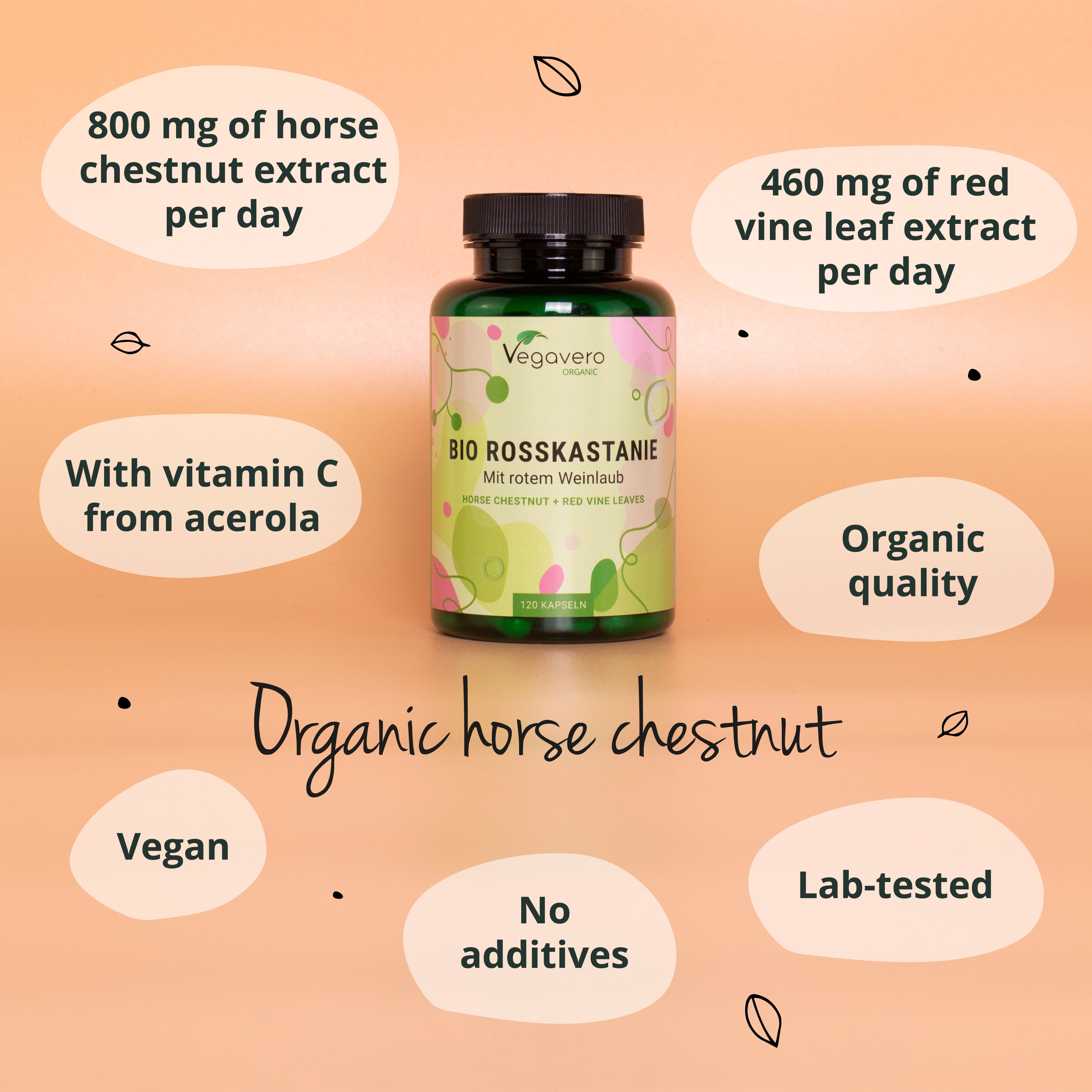 Castagna d’India Capsule Bio