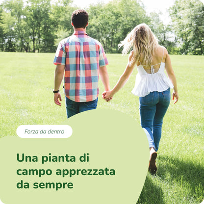 Equiseto Estratto Capsule Bio