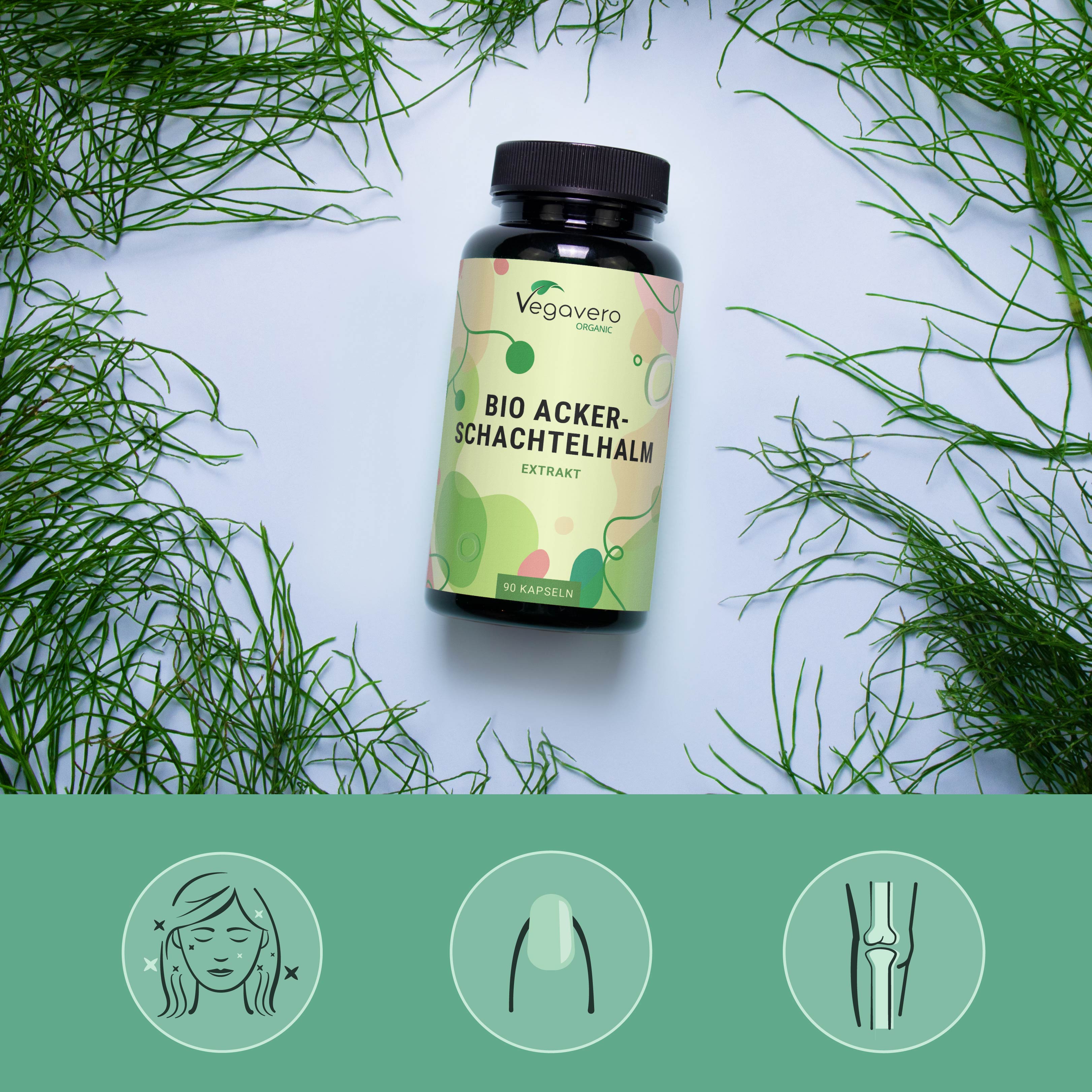 Equiseto Estratto Capsule Bio