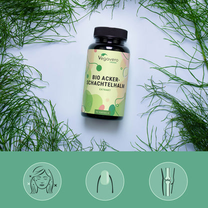 Equiseto Estratto Capsule Bio
