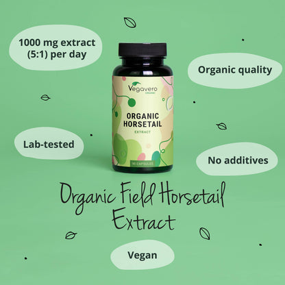 Equiseto Estratto Capsule Bio