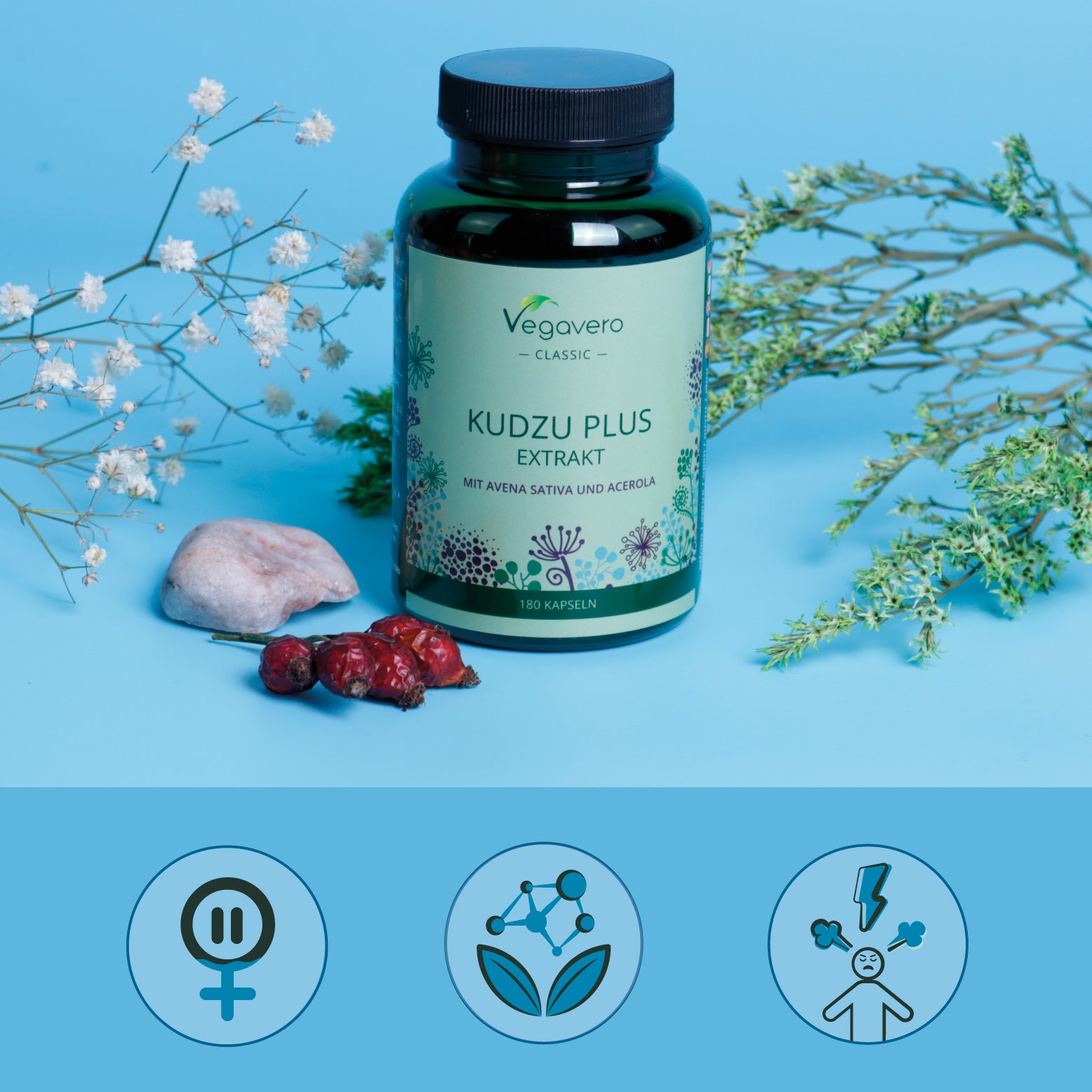 Kudzu Plus Capsule