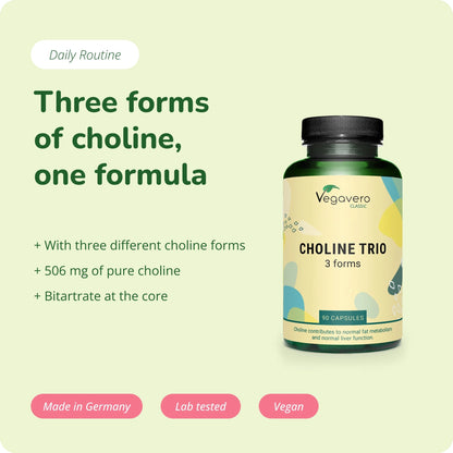 Colina Trio Capsule