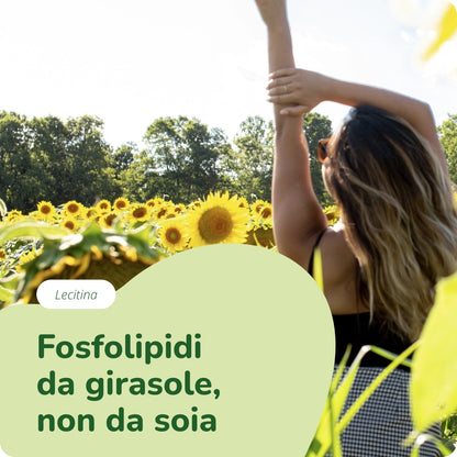 Lecitina Olio Capsule Bio