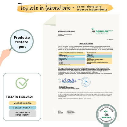 Lecitina Olio Capsule Bio